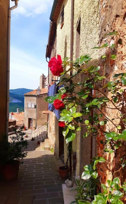 הוילה Boccheggiano Casa Il Girasole מראה חיצוני תמונה