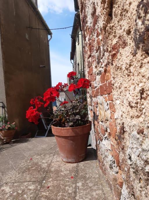 הוילה Boccheggiano Casa Il Girasole מראה חיצוני תמונה