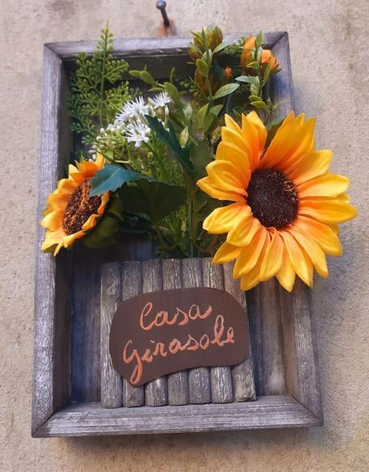 הוילה Boccheggiano Casa Il Girasole מראה חיצוני תמונה
