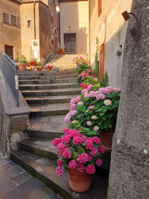הוילה Boccheggiano Casa Il Girasole מראה חיצוני תמונה