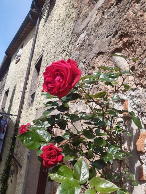 הוילה Boccheggiano Casa Il Girasole מראה חיצוני תמונה